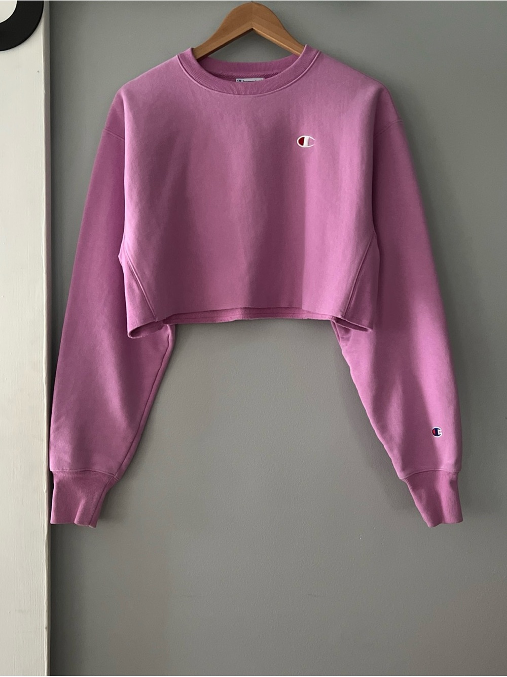 Champion Reverse Weave Cropped Sweatshirt Pink Women's M Athleisure Baggy Trendy